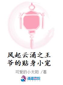 风起云涌之王爷的贴身小宠