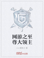 网游之至尊大领主