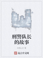 刑警队长的故事