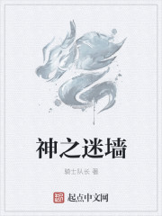 神之迷墙