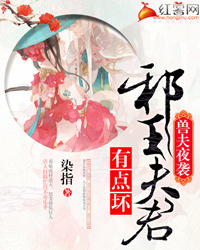 兽夫夜袭：邪王夫君有点坏