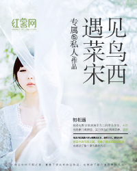 遇见菜鸟宋西
