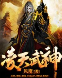 凌天武神