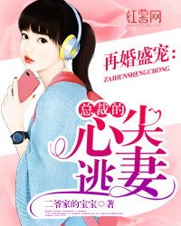 再婚盛宠：总裁的心尖逃妻