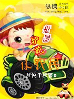 极品护花小农民