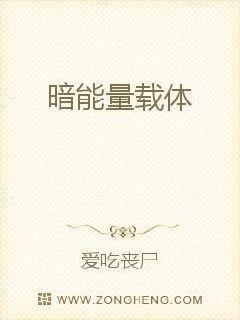 暗能量载体