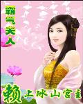 霸气夫人：赖上冰山宫主