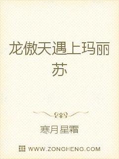 龙傲天遇上玛丽苏