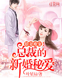 娇妻难宠：总裁的新婚秘爱