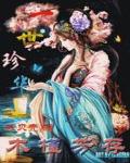 木槿芳存：一世珍华