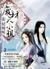 妃从天降：抢来王妃不好惹