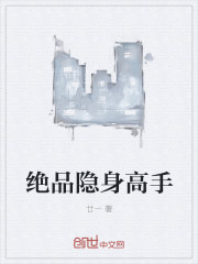 绝品隐身高手