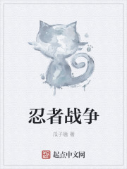 忍者战争