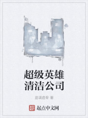 超级英雄清洁公司