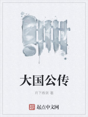 大国公传