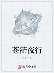 苍茫夜行