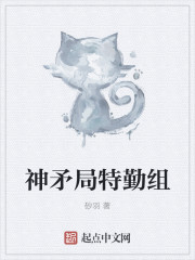 神矛局特勤组