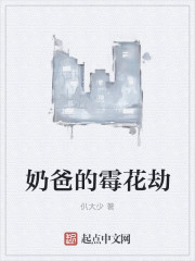 奶爸的霉花劫