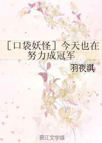 ［口袋妖怪］今天也在努力成冠军