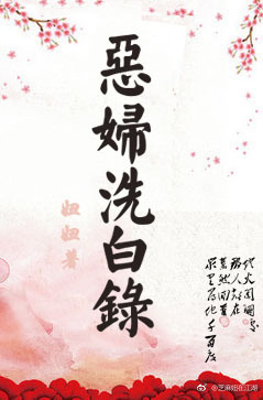恶妇洗白录