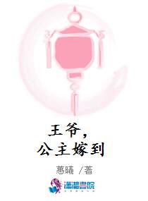 王爷，公主嫁到