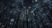 星星公主