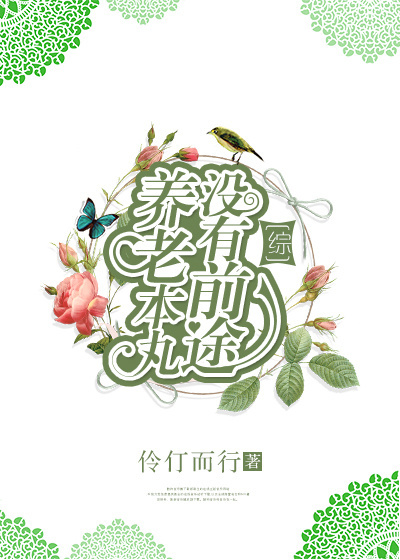 [综]养老本丸没有前途
