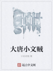 大唐小文贼