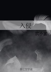 入侵