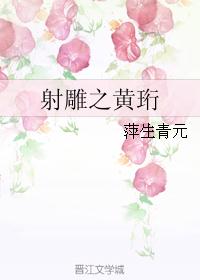 射雕之黄珩