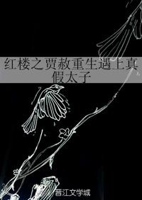 红楼之贾赦重生遇上真假太子