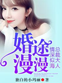 婚途漫漫：总裁大人情深似海初欢