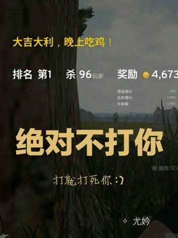 绝对不打你[绝地求生]