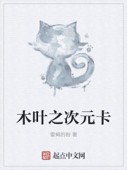 木叶之次元卡