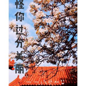 怪你过分美丽
