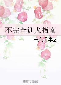不完全训犬指南