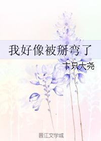 我好像被掰弯了