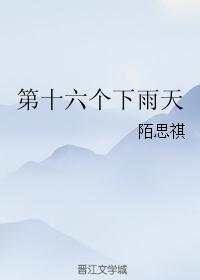 第十六个下雨天