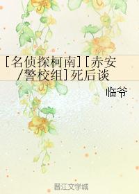 [名侦探柯南][赤安/警校组]死后谈