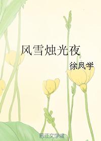 风雪烛光夜