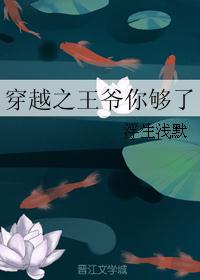 穿越之王爷你够了