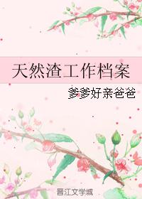 天然渣工作档案