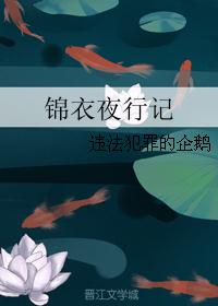 锦衣夜行记