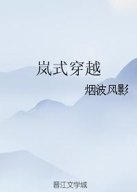 岚式穿越