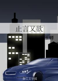 止言又欲