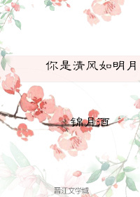 你是清风如明月