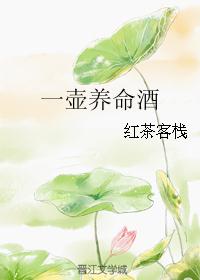 一壶养命酒