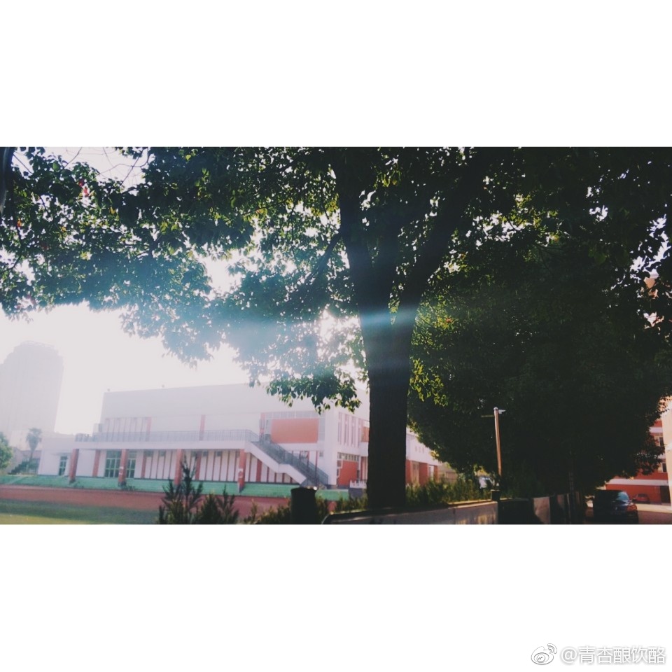 青山隐隐
