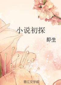 小说初探