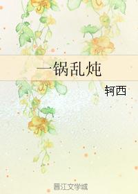一锅乱炖